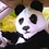 angrypanda